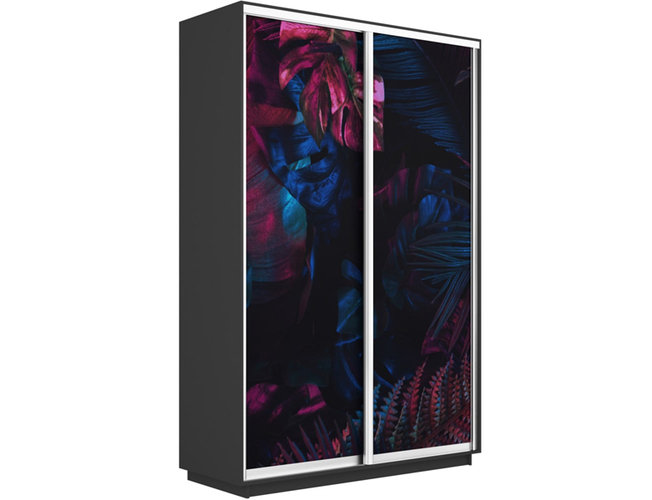 Шкаф-купе Экспресс Люкс 2-х дверный (Фото №1004 Джунгли темные), Серый диамант