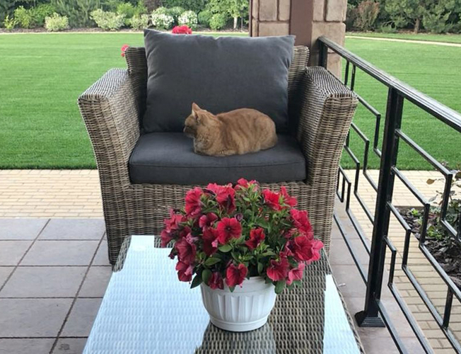 Кресло из ротанга 4SIS Капучино серо-желтый (Арт.YH-C1130W-3)